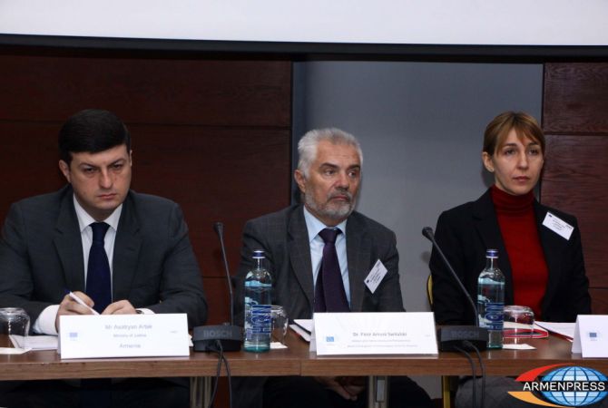 ЕС вложит 7 млн евро в организацию избирательного процесса в Армении: Петр 
Свитальский