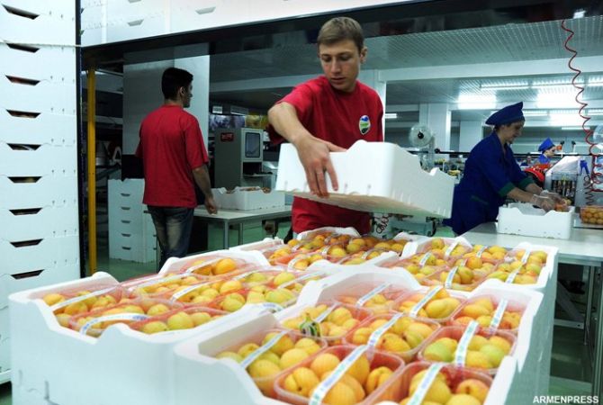 تصدير ما يقارب 2300 طن من الفواكه والخضروات من أرمينيا منذ بداية العام