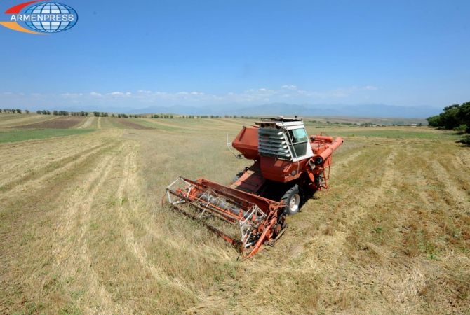 Armenian Government to subsidize agricultural leasing interest rate at the expense of savings