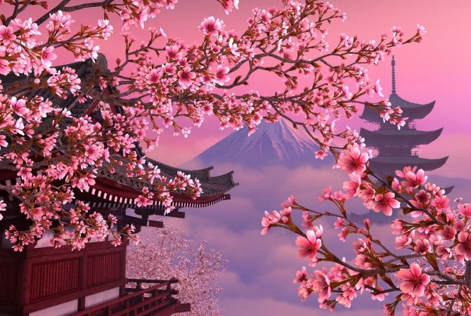 В Японии начался сезон цветения сакуры | Новости Армении- АРМЕНПРЕСС  Армянское информационное агентство