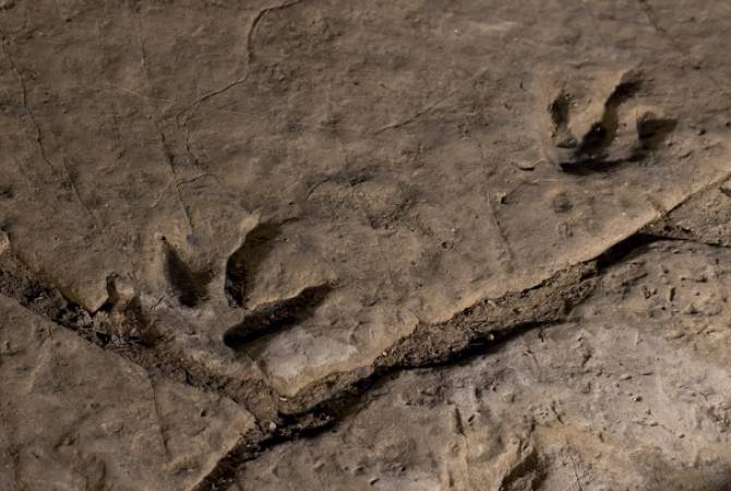 В Швейцарии обнаружены следы динозавра, жившего 152 млн лет назад