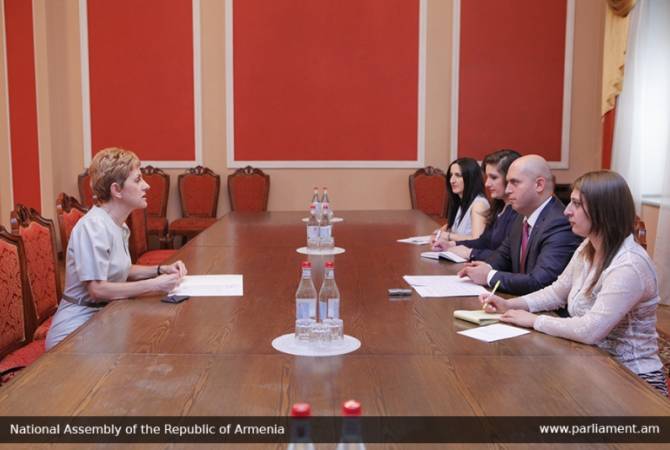 «Политическая коррупция серьезно вредит авторитету международных организаций»: Армен Ашотян
