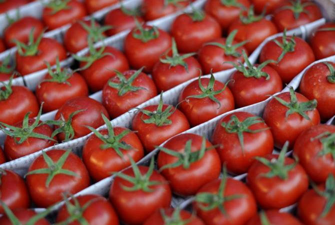 Russia sends back Azerbaijani vegetables