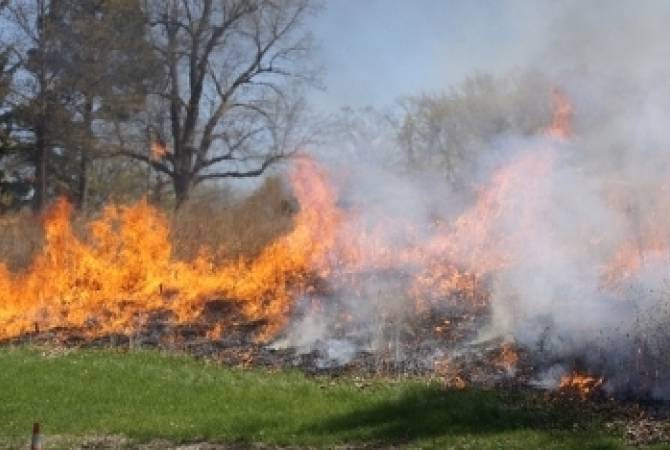  Пожарные потушили огонь на  травяных участках 