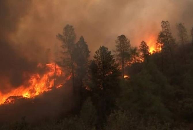 В Канаде из-за лесных пожаров эвакуировали порядка 37 тысяч человек