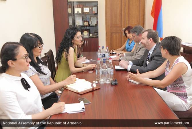 Vice-Speaker Arpine Hovhannisyan holds meeting with US Ambassador