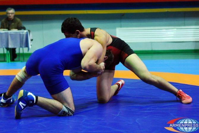Армянские борцы вольного стиля завоевали 5 медалей на франкофонских играх
