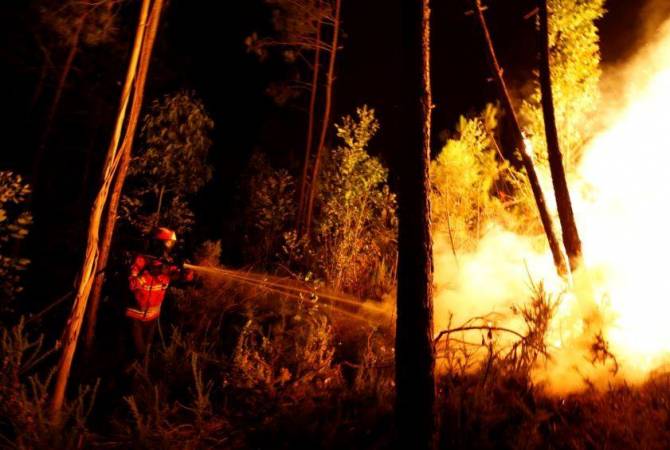 Крупный лесной пожар около села Артаван парализовал повседневную жизнь села