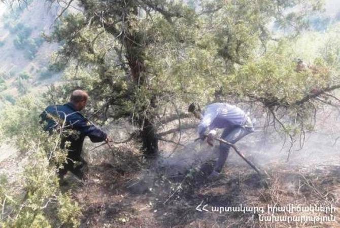 Тушение лесного пожара в Вайоц Дзоре продолжается: огонь охватил 250 гектаров