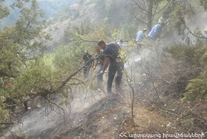 Житель села  сообщил о причине  пожара  в Вайоц дзоре – возбуждено уголовное  дело, проверяются версии