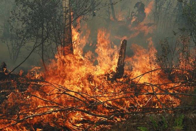 В  борьбе  с  огнем в  Хосровском лесу участвует 41 пожарный-спасатель