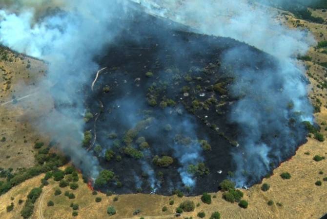 Armenian emergency situations minister applies to his Russian counterpart to assist in 
extinguishing fire in Khosrov Forest