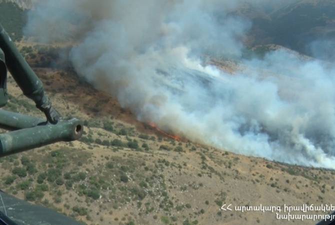 По поводу возгорания пожара на территории заповедника «Хосровский лес» возбуждено 
уголовное дело