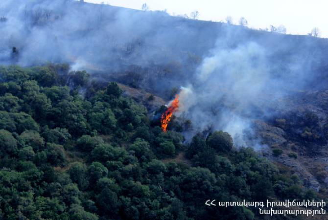 Վայոց ձորում բռնկված հրդեհի հետևանքով այրվել է 320 հա անտառածածկ տարածք. 
այն գրեթե ամբողջությամբ մեկուսացվել է