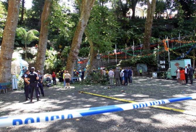 Falling tree kills 13, injures 49 in Portuguese island of Madeira
