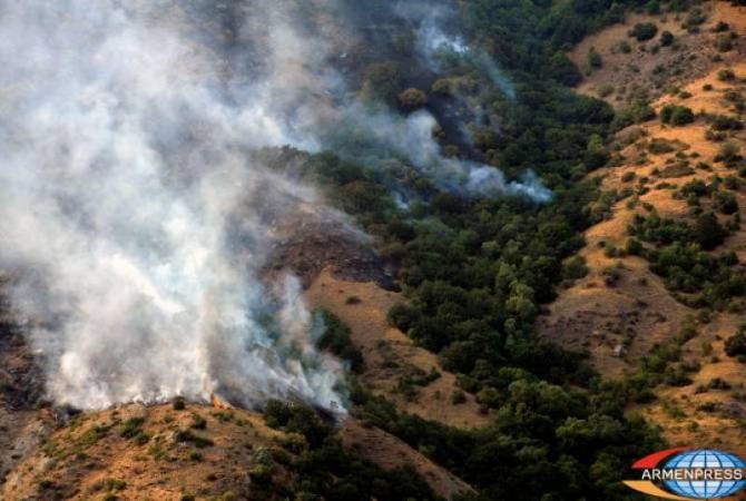 Основные очаги пожара в Хосровском лесу потушены