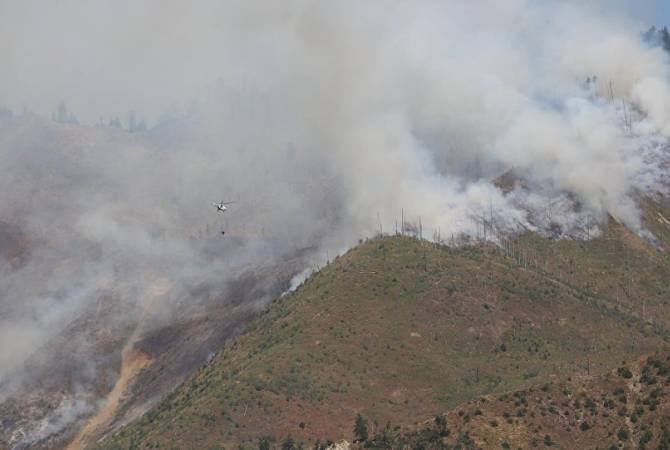 Բորժոմի անտառում շարունակում են պայքարել կրակի դեմ, որը տասնյակ հեկտար անտառ Է ոչնչացրել
