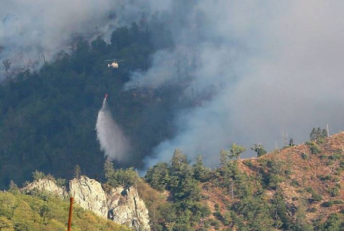 Власти Грузии просят помощи у соседних стран для тушения пожара