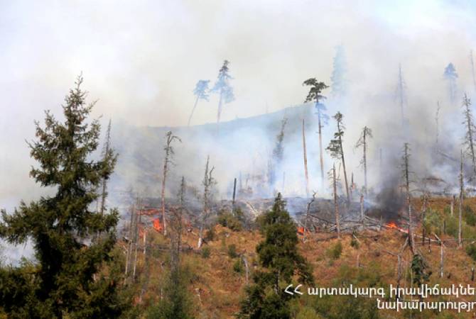 Armenian firefighter-rescuers resume firefighting works in Georgia’s Borjomi forest