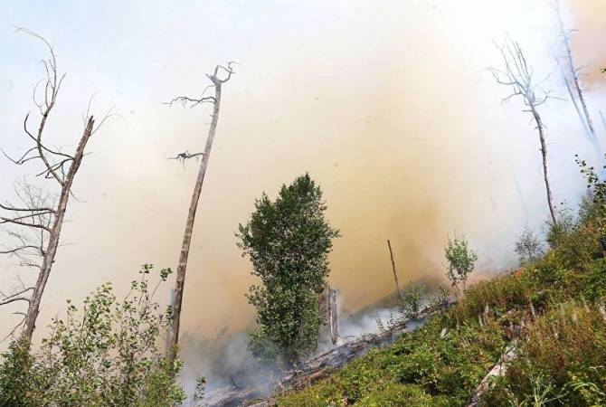 Пожар в парке Ликани ликвидирован