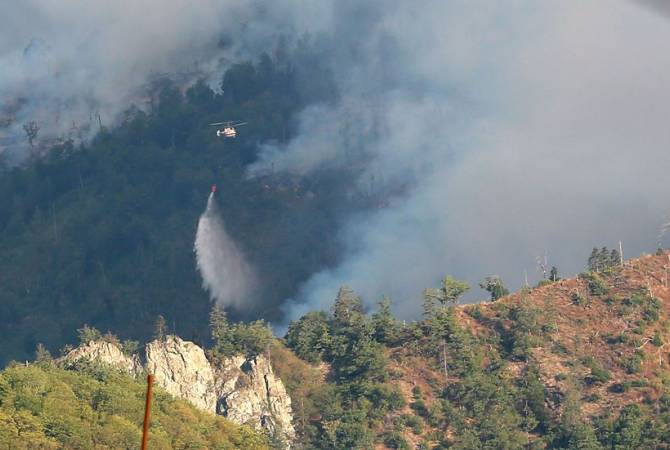 В Восточной Грузии продолжается тушение пожара