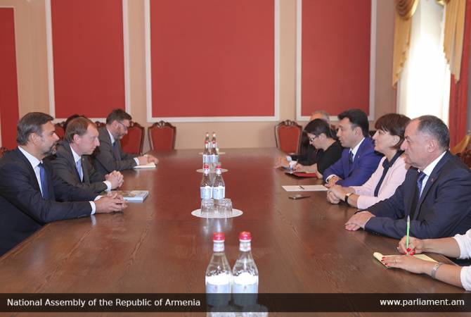 Азербайджан – открыто пропагандирующая армянофобию страна: вице-спикер НС 
Армении