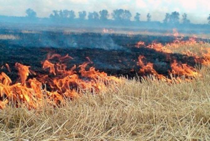 На возгоревшемся травяном поле близ Раздана активных очагов пожара нет