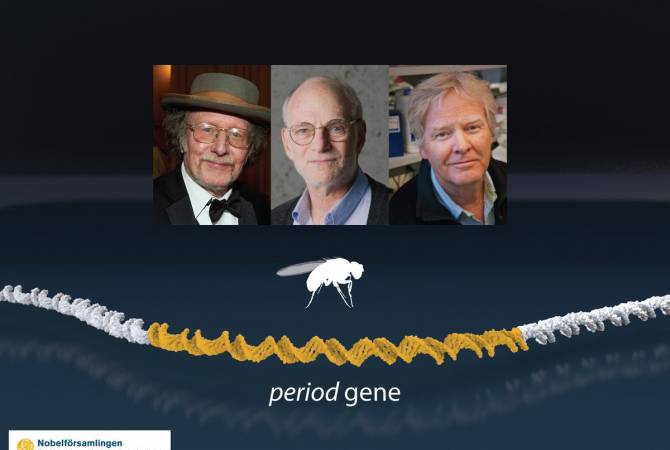 Нобелевскую премию по биологии и медицине получили ученые из США