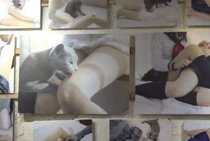 Женским ножкам в Токио посвятили кафе: кадры интерьера заведения
