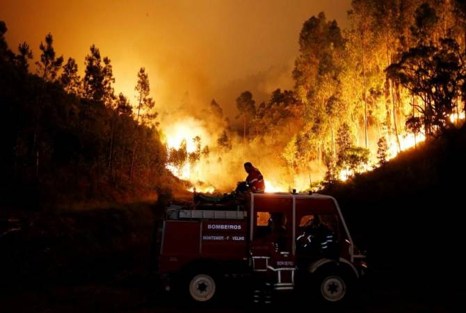 Жертвами лесных пожаров в Португалии стали 36 человек