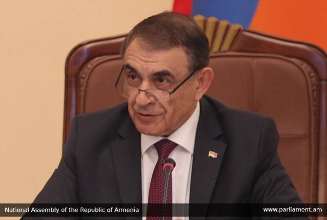 The best development path chosen in Armenia and Artsakh: Speaker Babloyan on constitutional 
reforms