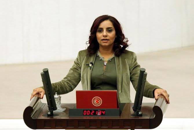 Թուրքիայում ազգային փոքրամասնությունների նկատմամբ առկա է ատելության 
մթնոլորտ. Սելինա Դողան