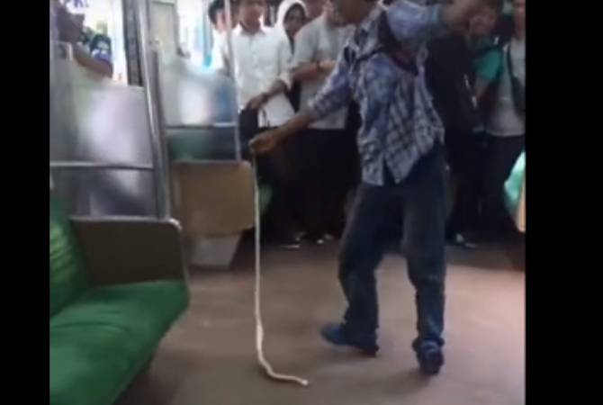 Храбрый пассажир голыми руками убил заползшую в поезд змею