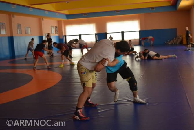 Молодежная сборная Армении по вольной борьбе завоевала медали на международном 
турнире
