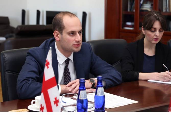 Глава МИД Грузии встретился с послом Армении в Грузии
