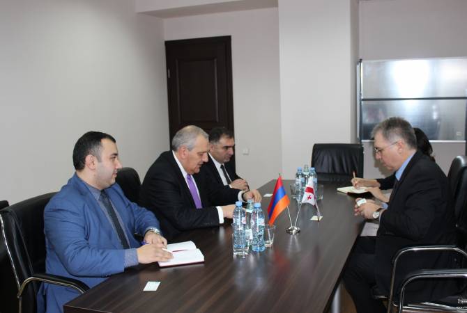 Посол Армении провел встречу с министром здравоохранения, труда и социальных дел 
Грузии