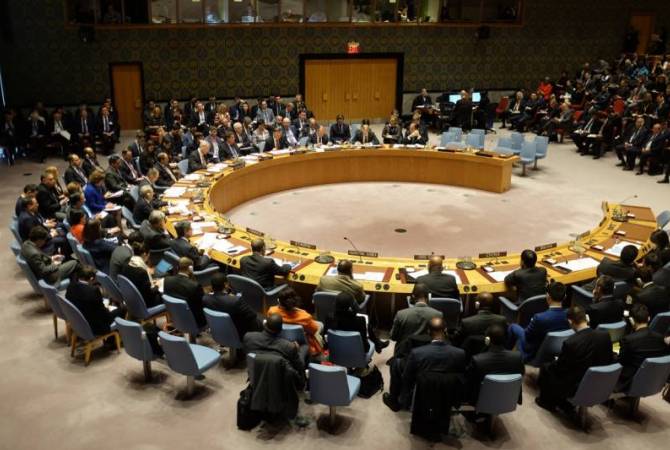 СБ ООН обсудил ситуацию в Сирии, никак не отреагировав на операцию Турции в Африне
