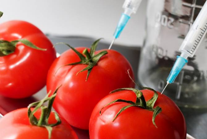 Armenia has no legislative act banning import of GMOs