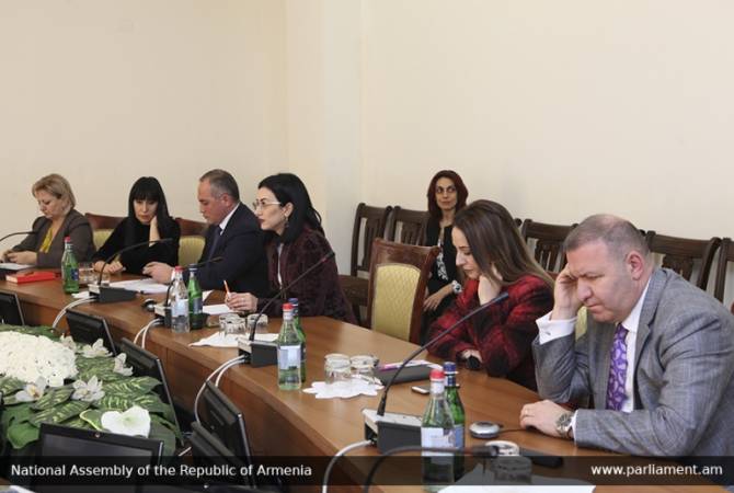 Armenia-US parliamentary friendship group members meet with Ambassador Richard Mills