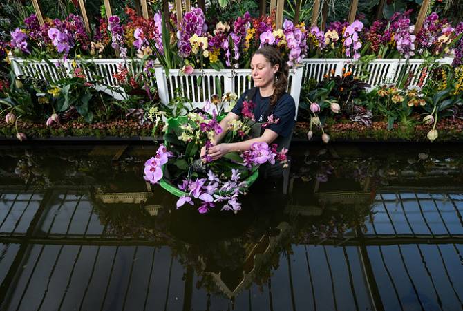 В Лондоне открылся фестиваль орхидей