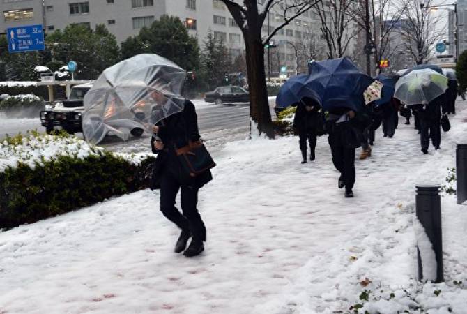 В Японии из-за снегопадов погибли 15 человек