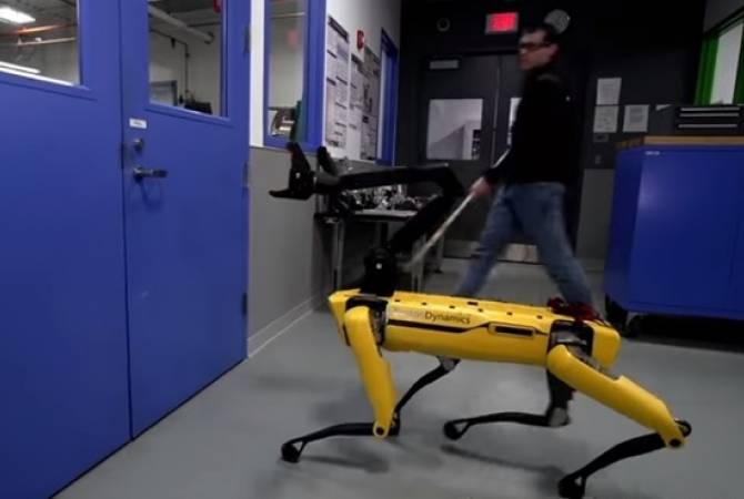 Борьба собаки-робота с человеком попала на видео