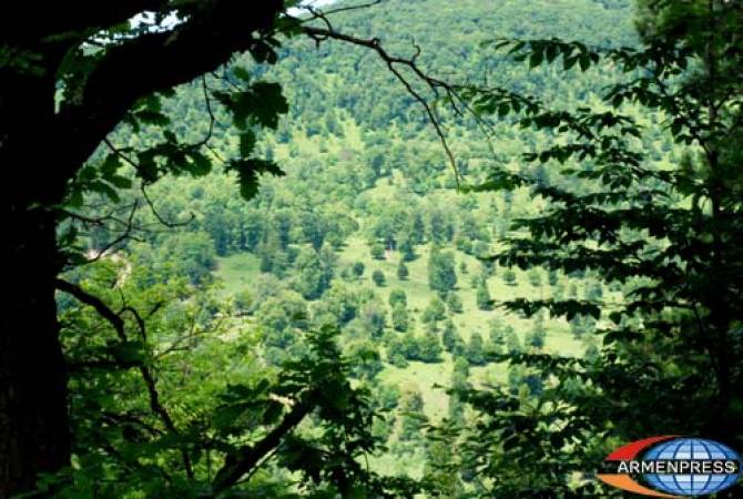 Հայաստանի անտառներում կներդրվի 24-ժամյա պարեկապահակային ծառայություն

 