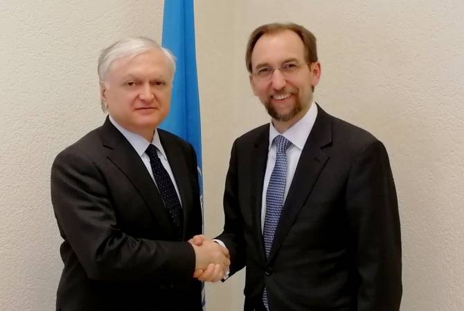 Глава МИД Армении встретился с Верховным комиссаром ООН по правам человека
