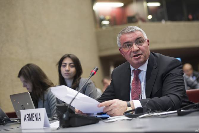 Armenia deputy FM participates in UN Sustainable Development Conference 