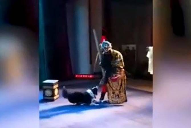 В Китае собака напала на актера во время оперного спектакля