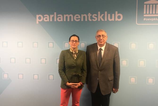 Посол Армении встретился с руководителем парламентской группы дружбы Австрия-
Армения