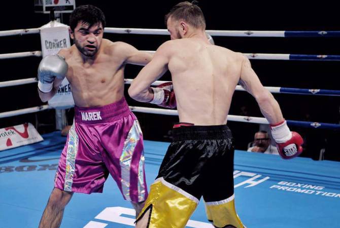 Армянские  боксеры-профессионалы остаются непобедимыми на ринге
