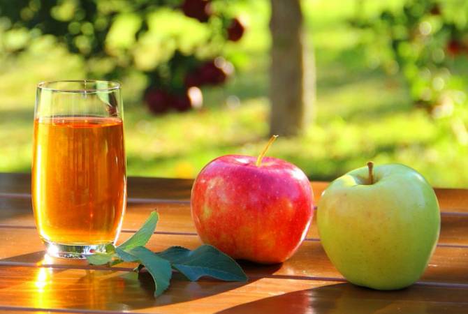 Սահմանամերձ Զանգակատուն համայնքում կհիմնվի խնձորի հյութի արտադրամաս
