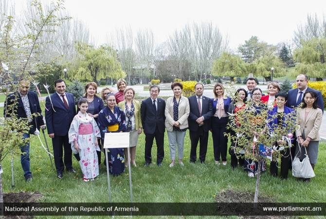 الاحتفال بعطلة هانامي اليابانية بحديقة البرلمان الأرميني وافتتاح لافتة الساكورا «زهر الكرز» بحضور نائب 
رئيس البرلمان وسفير اليابان في أرمينيا